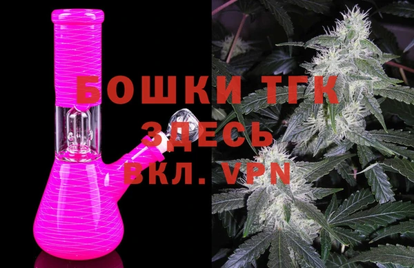 крисы Козельск