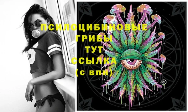 прущая мука Кинешма