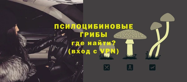 молекула духа Алексин