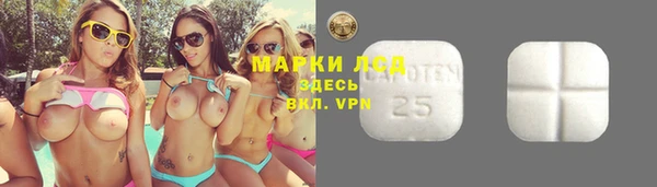 молекула духа Алексин