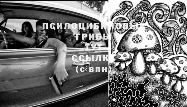 дмт Алексеевка