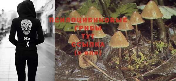 дмт Алексеевка