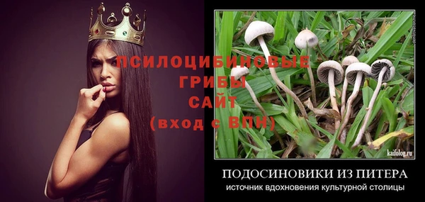 дмт Алексеевка