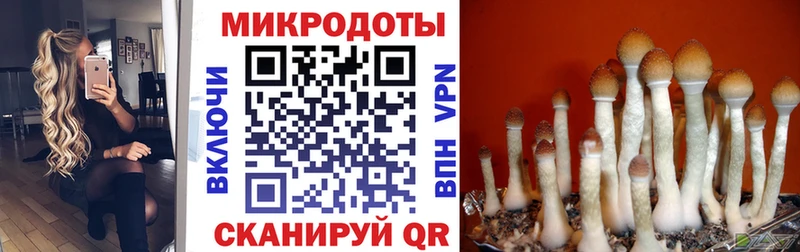 МЕГА как зайти  Жуков  сайты даркнета Telegram  Псилоцибиновые грибы MAGIC MUSHROOMS 